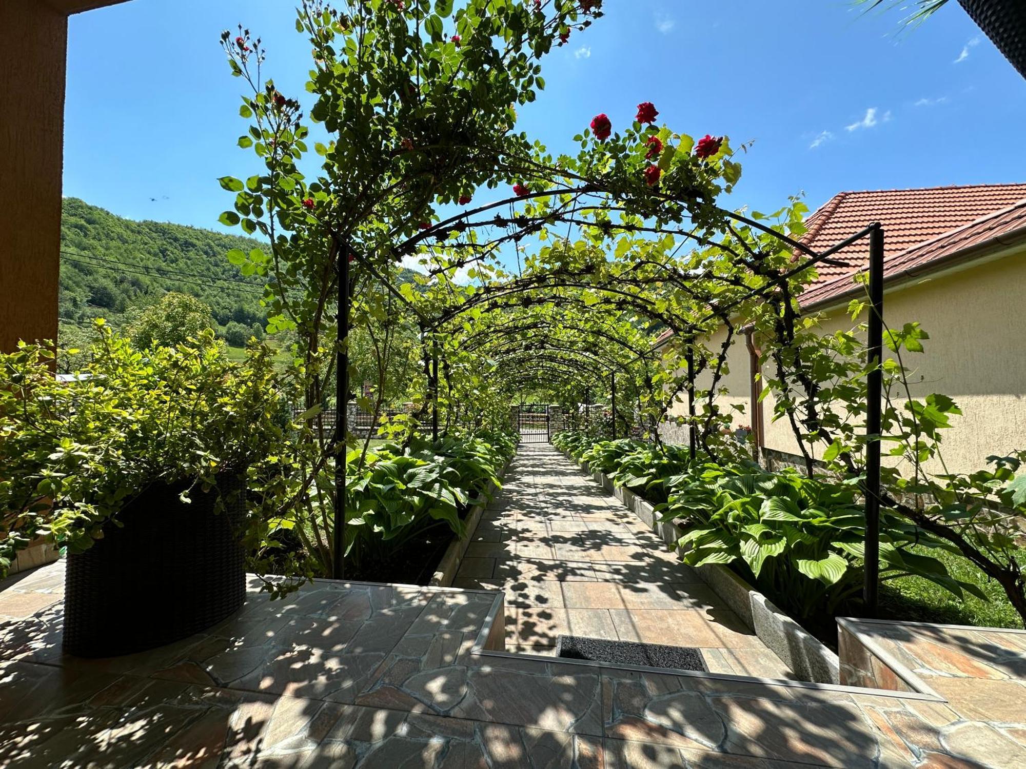 Casa Antonia Hotel Chiscau Bagian luar foto